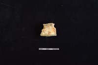 陶片藏品圖，第1張